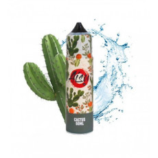 ZAP! Aisu Cactus Ansicht Flasche